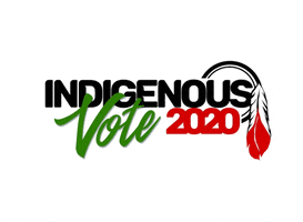 Vote GIF by Indigenous Peoples Movement