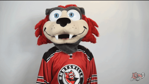 Hockey Smh Gif By Huntsville Havoc - Find & Share On Giphy