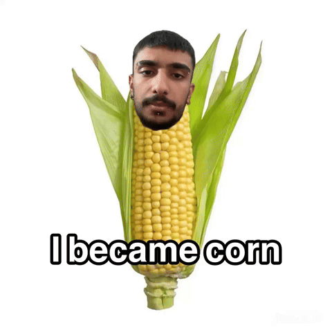 Corn GIF