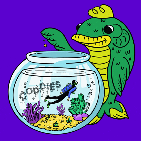 Hungry Fish Tank GIF by Coddies