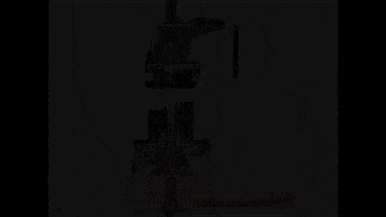 enjoy juice orange juice juicer fruit juice GIF