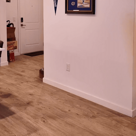 GIF by Clifford Taylor IV