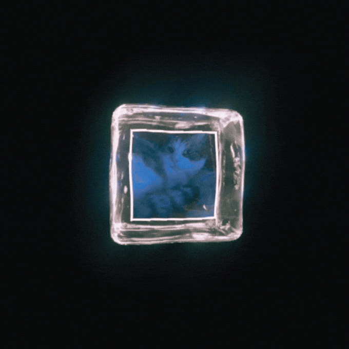 Cat Meme GIF by Furrend