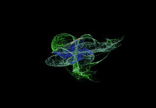 fractals