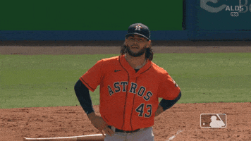 Major League Baseball What GIF by MLB Major League Baseball What GIF by MLB