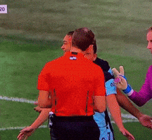 Gotham Fc GIF