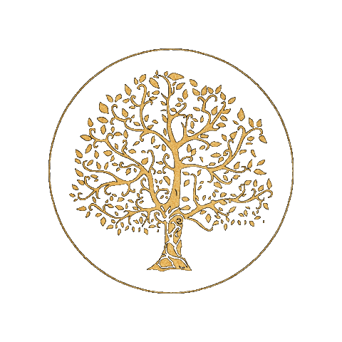 INSTITUTO DENTAL LIFE Sticker