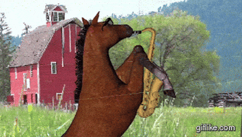 smart horse GIF