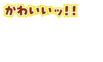 Dingoディンゴ Sticker by DINGO_jp