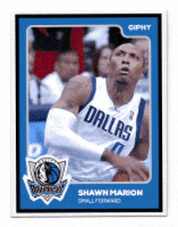 Dallas Mavs GIF by Giphy Cards