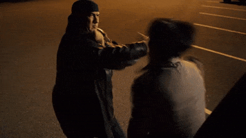 Fight GIF