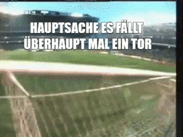 R.SA Sachsen GIF