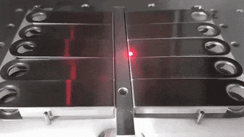ledger  GIF