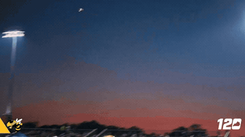 Yellow Jackets GIF
