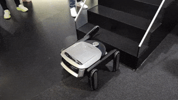 Animated GIF