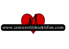 izmirevlilikteklifim Sticker