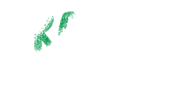 Sticker by ummahforearth