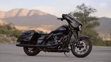 Brand Adventure GIF by Harley-Davidson