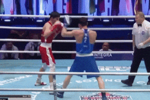 Boxing GIF by Bekzatsport