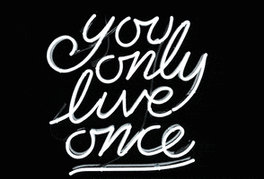 you only live once yolo GIF