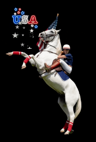4Th Of July Usa GIF by Primapolo Productions