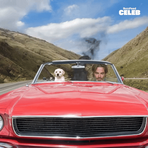 Driving Chris Pine GIF by BuzzFeed