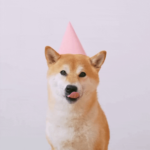 Video gif. Happy dog wearing a pink party hat sticks its tongue out like it's smiling for the camera against a white background.