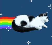 Nyan Cat Gifs 200w