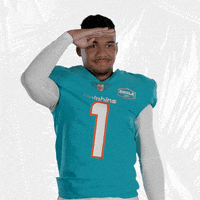 Football Looking GIF by Miami Dolphins