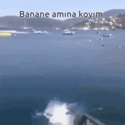 Amk GIF
