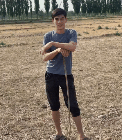 Uzbek Uzbekistan GIF