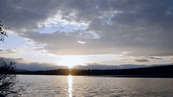 fisking  GIF
