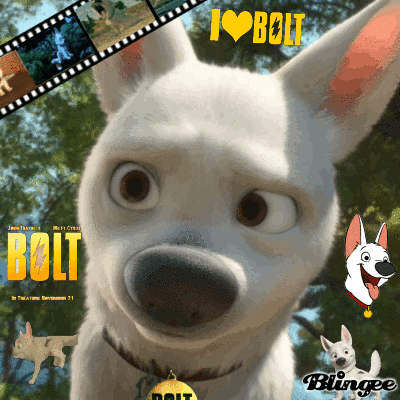 bolt