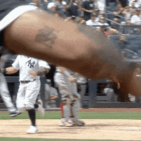 New York Yankees Celebration GIF by Jomboy Media - Find & Share on