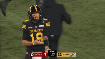 Tiger-Cats Ticats GIF by Hamilton Sports Group