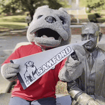 College Mascot GIF by Samford University