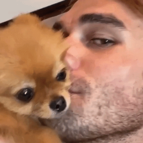 giphy.gif?cid=5e214886b874f884b3d32612ee161c159f7cc4c3cd15f9d6&rid=giphy.gif&ct=g