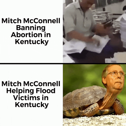 Video gif. Split screen. At the top, a man furiously flips through paperwork at lightning speed. Text, “Mitch McConnell banning abortion in Kentucky.” At the bottom, a turtle with the head of Mitch McConnel sits on a rock. Text, “Mitch McConnell helping flood victims in Kentucky.”