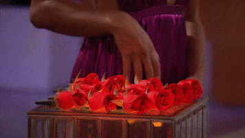 Abc Roses GIF by The Bachelorette
