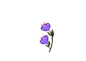 Flower Magic Sticker