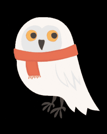 White Owl GIF by Start-Rite Shoes