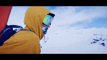 Skiing Snowboard GIF by Zeal Optics