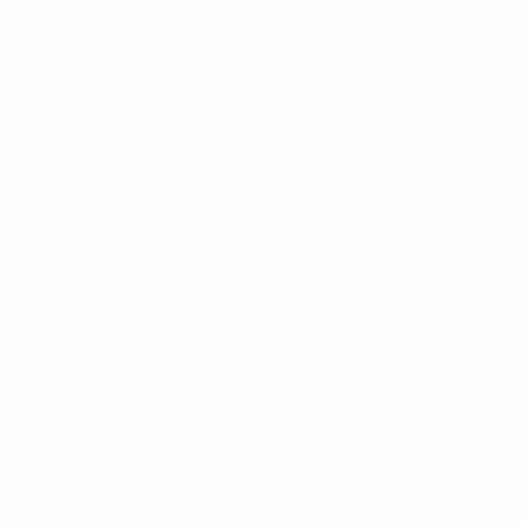 Royal Fox Realty, LLC GIF