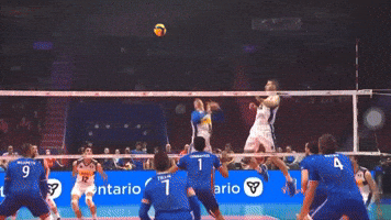 Volleyball GIF