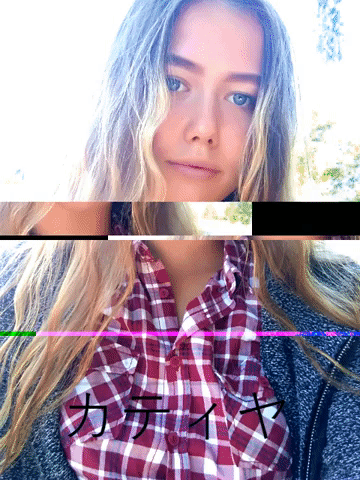 321313 GIF