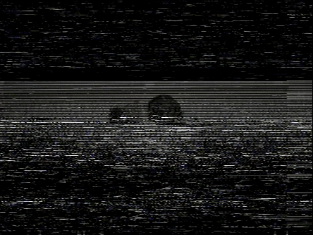 Featured image of post Vhs Background Gif Check out this fantastic collection of 8 bit gif wallpapers with 64 8 bit gif background images for we hope you enjoy our growing collection of hd images to use as a background or home screen for