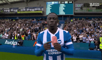 Football Brighton GIF