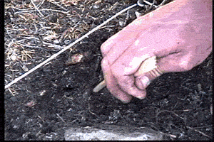 archaeology cmhgif GIF by Canadian Museum of History
