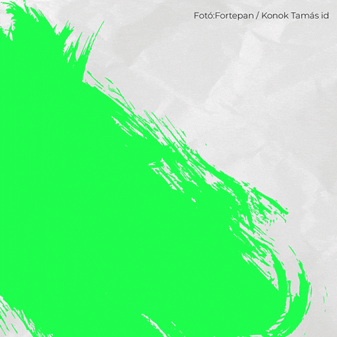 We Are Home GIF by Budapest Pride