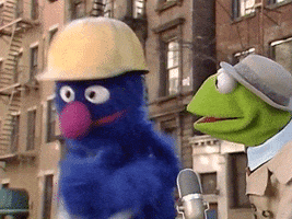 Ignoring New York GIF by Muppet Wiki